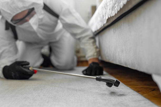 Professional Bed Bug Control technician working in La Villa, TX